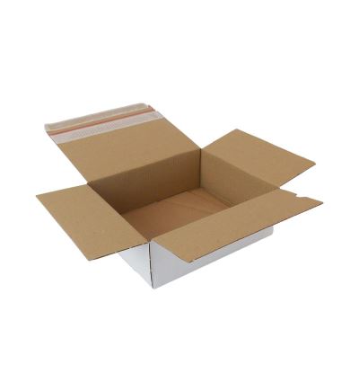Kartónová krabica so samosvorným dnom, 3vrstvová, dĺžka 240 mm, šírka 200 mm, výška 86 mm